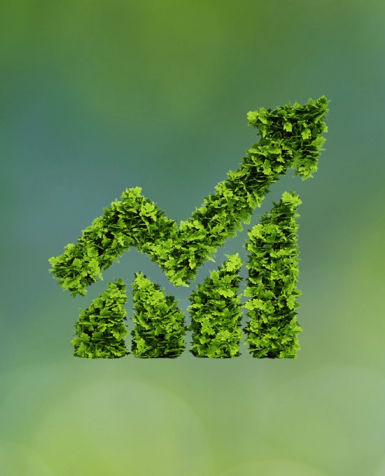 A Tailored Approach to Growth - img