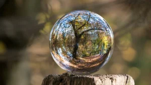 Recovering Wholeness; Reconnecting to what we’ve always - blog-img-1